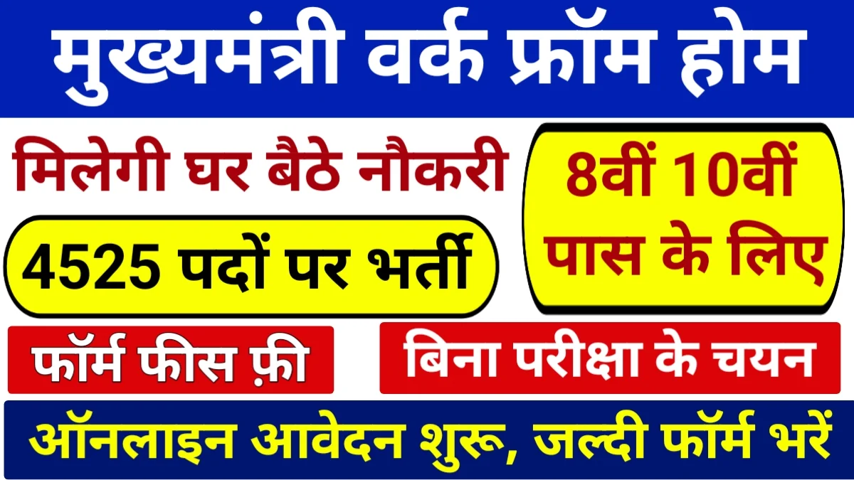 Mukhyamantri Work From Home Yojana